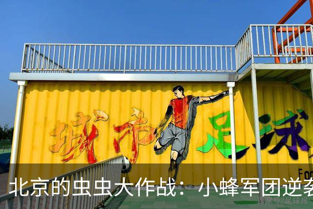 北京的虫虫大作战：小蜂军团逆袭毛毛虫